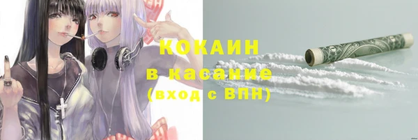 spice Бородино