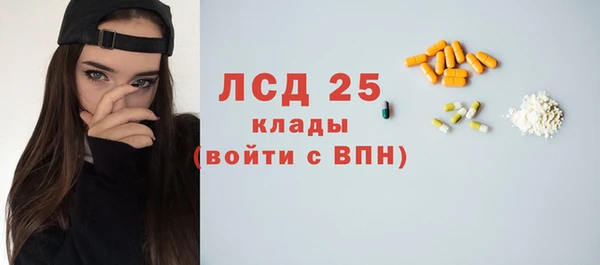 spice Бородино