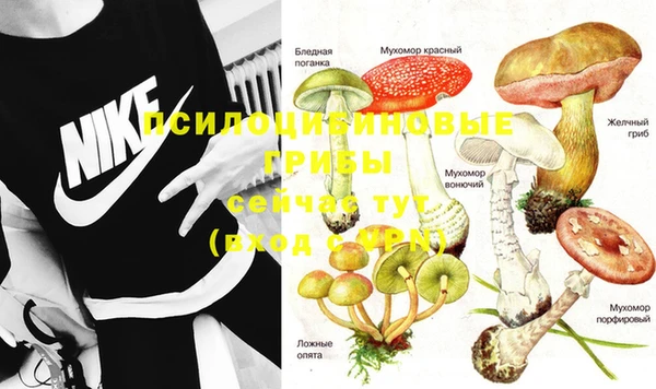 spice Бородино