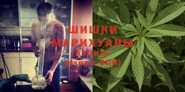 spice Бородино