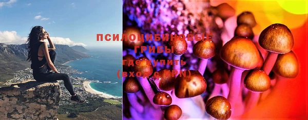 прущая мука Бронницы
