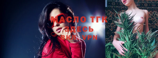 spice Бородино