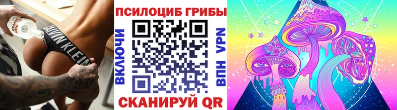 shop наркотические препараты Сосногорск Галлюциногенные грибы Psilocybe